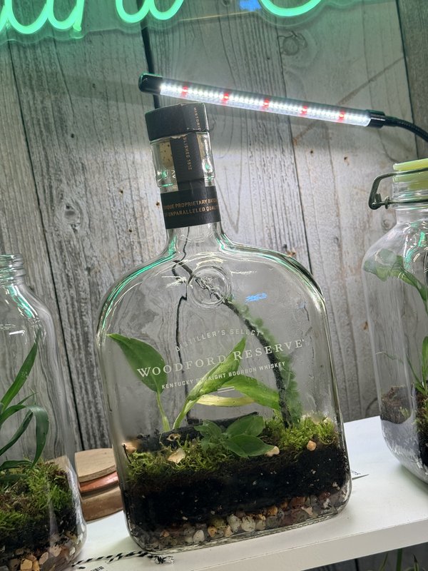 Plants